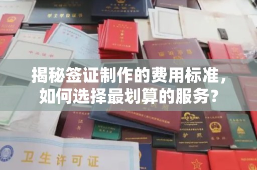 广丰揭秘签证制作的费用标准，如何选择最划算的服务？